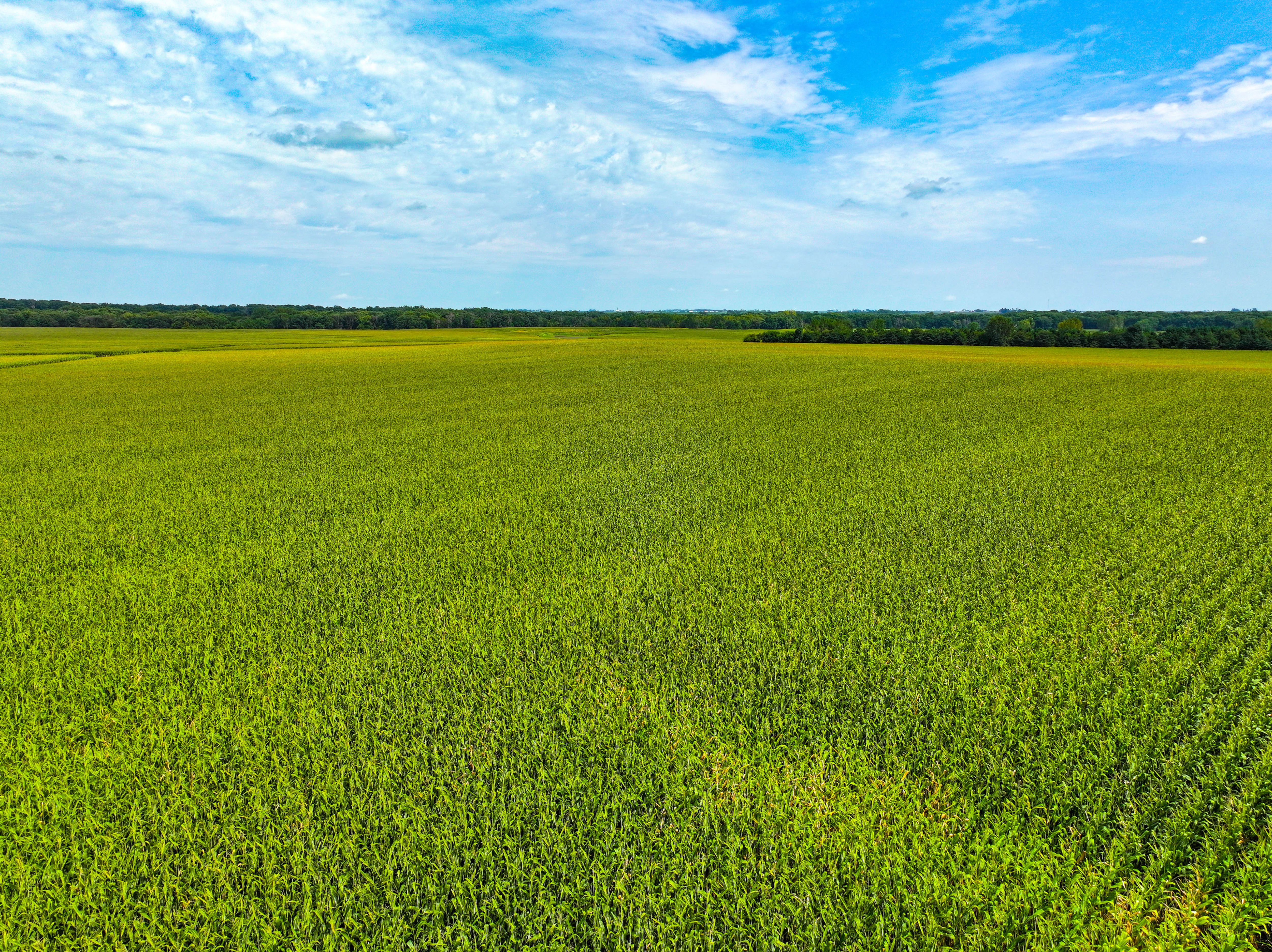 Listing Photo: 12_Buchanan Co IA Land For Sale
